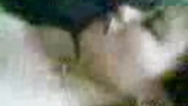 अश्लील कोई पंजीकरण  माँ प्यारी की नरम गीली सेक्सी में हिंदी मूवी और गर्म चूत है
